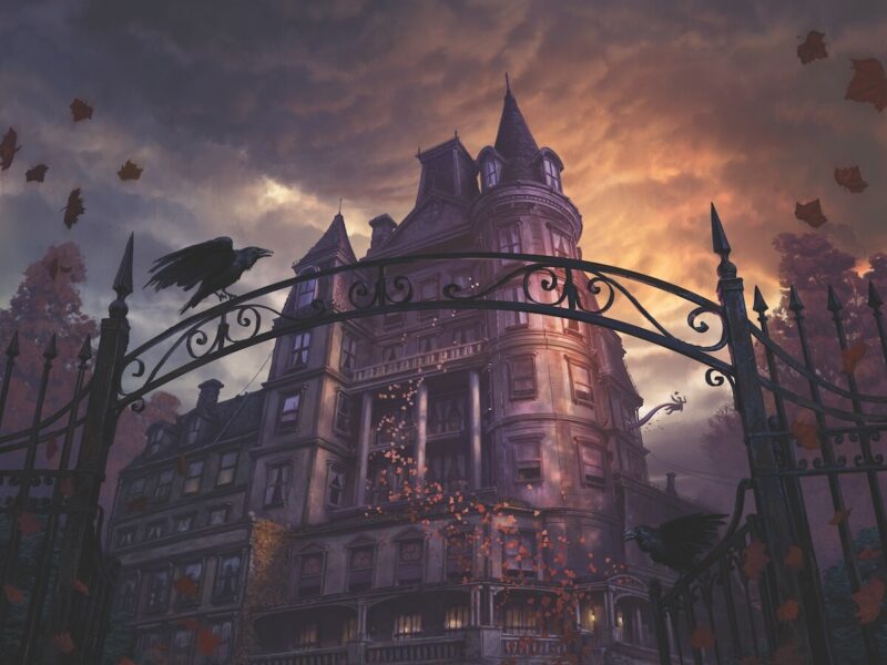 Mansions of Madness & Mirror of a Man Review